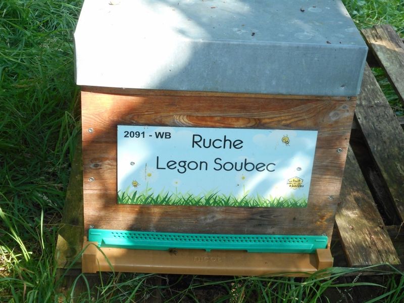 La ruche Legon Soubec